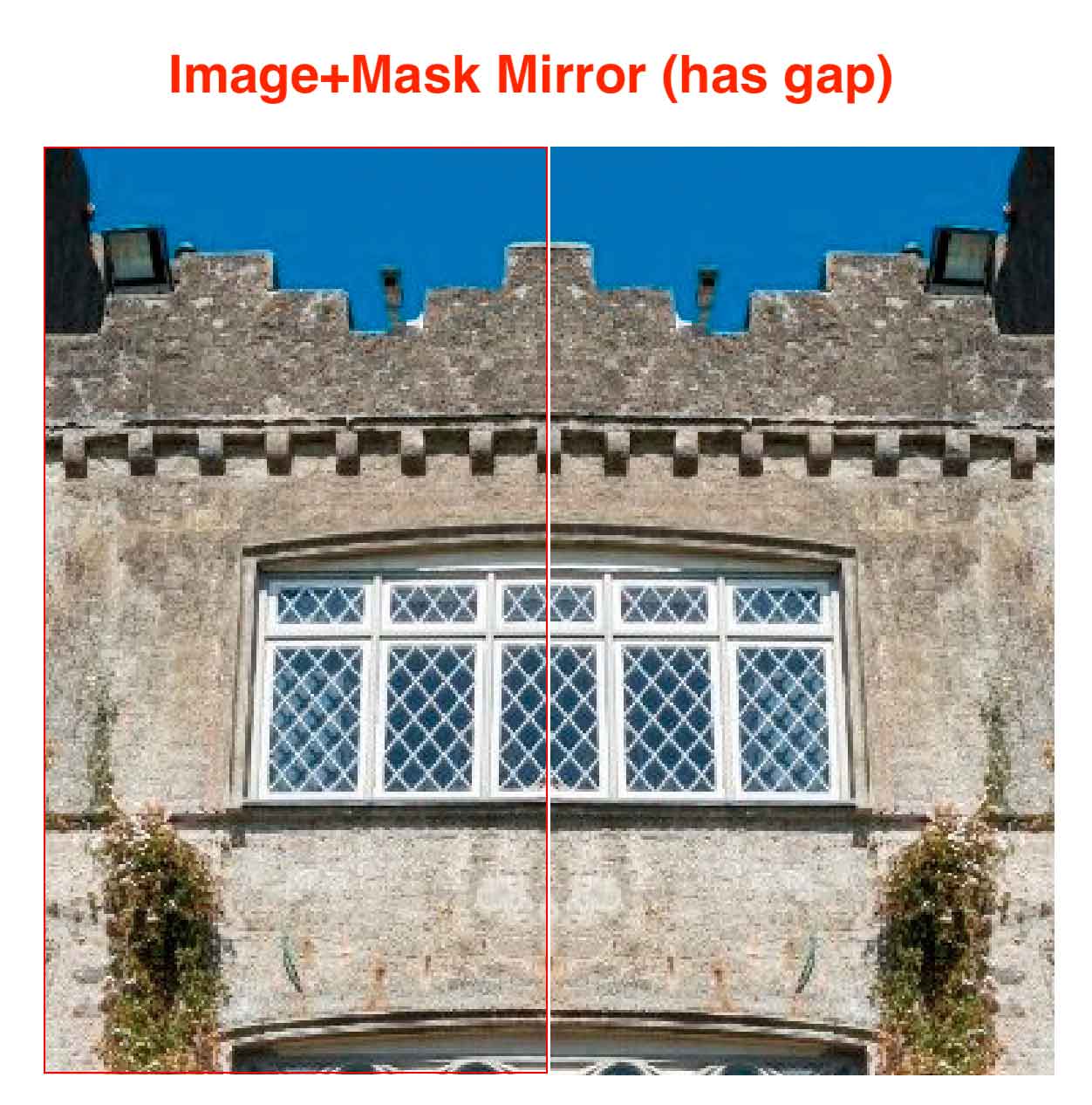Image-Mirror.jpg
